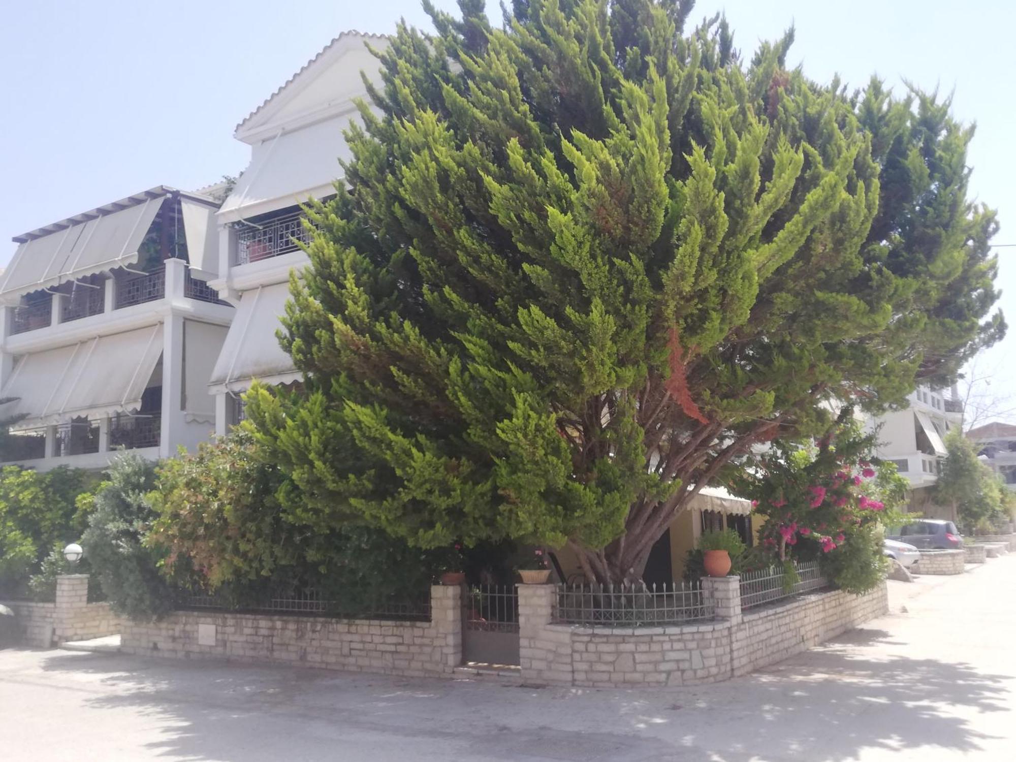 Vkastri City Apartment Lefkada City Bagian luar foto